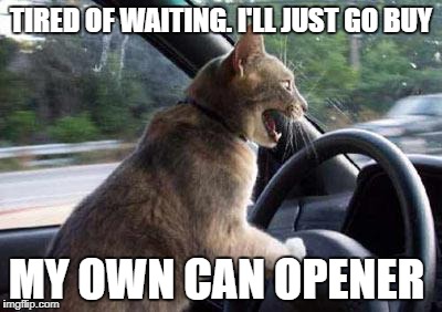 TIRED OF WAITING. I'LL JUST GO BUY MY OWN CAN OPENER | made w/ Imgflip meme maker
