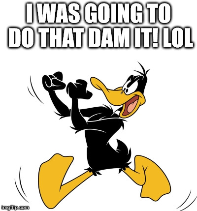 daffy | I WAS GOING TO DO THAT DAM IT! LOL | image tagged in daffy | made w/ Imgflip meme maker