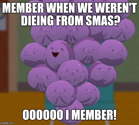 #SMASAWARENESS | MEMBER WHEN WE WEREN'T DIEING FROM SMAS? OOOOOO I MEMBER! | image tagged in memes | made w/ Imgflip meme maker