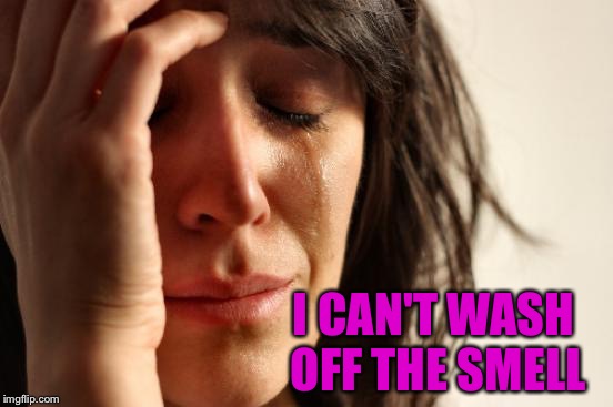 First World Problems Meme | I CAN'T WASH OFF THE SMELL | image tagged in memes,first world problems | made w/ Imgflip meme maker