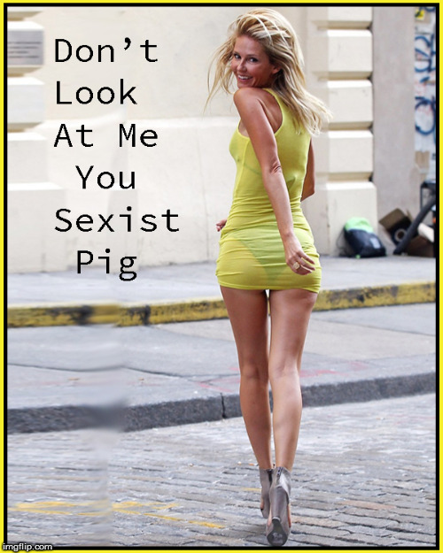 In a see thru dress- about sums up FEMINISM pretty nicely don't ya' think ? | image tagged in feminism,feminist,hot babes,politics lol,funny memes,hot legs | made w/ Imgflip meme maker