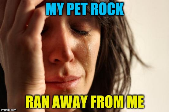 First World Problems Meme | MY PET ROCK; RAN AWAY FROM ME | image tagged in memes,first world problems | made w/ Imgflip meme maker