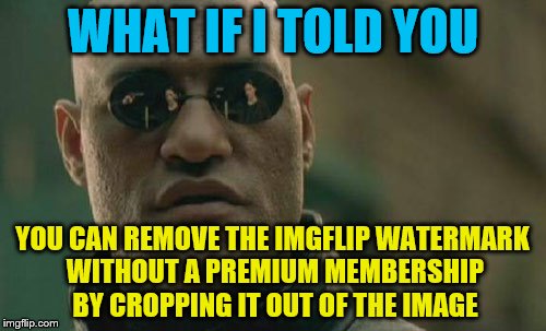 Matrix Morpheus Meme | WHAT IF I TOLD YOU; YOU CAN REMOVE THE IMGFLIP WATERMARK WITHOUT A PREMIUM MEMBERSHIP BY CROPPING IT OUT OF THE IMAGE | image tagged in memes,matrix morpheus | made w/ Imgflip meme maker