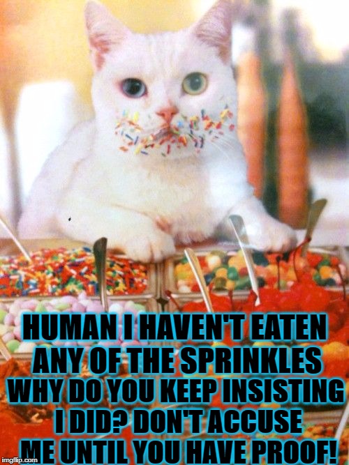 HUMAN I HAVEN'T EATEN ANY OF THE SPRINKLES; WHY DO YOU KEEP INSISTING I DID? DON'T ACCUSE ME UNTIL YOU HAVE PROOF! | image tagged in bad liar cat | made w/ Imgflip meme maker