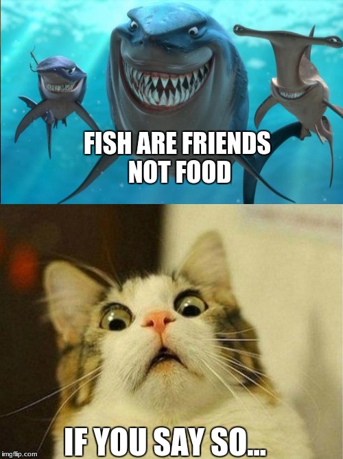 FISH ARE FRIENDS NOT FOOD IF YOU SAY SO... | made w/ Imgflip meme maker