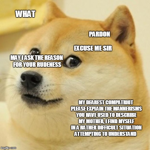 Doge | WHAT; PARDON; EXCUSE ME SIR; MAY I ASK THE REASON FOR YOUR RUDENESS; MY DEAREST COMPATRIOT PLEASE EXPLAIN THE MANNERISMS YOU HAVE USED TO DESCRIBE MY MOTHER, I FIND MYSELF IN A RATHER DIFFICULT SITUATION ATTEMPTING TO UNDERSTAND | image tagged in memes,doge | made w/ Imgflip meme maker