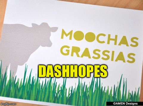 DASHHOPES | made w/ Imgflip meme maker