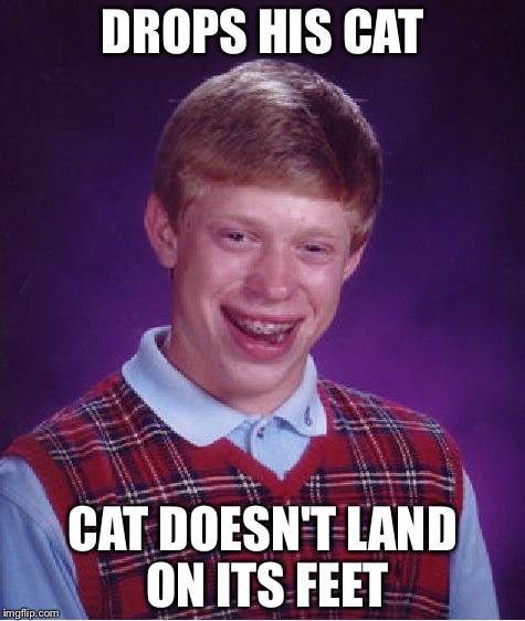 Cats land on their feet. Usually... | DROPS HIS CAT; CAT DOESN'T LAND ON ITS FEET | image tagged in memes,bad luck brian,cats,feet | made w/ Imgflip meme maker