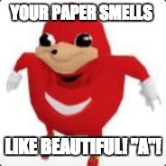 Term Paper dreams | YOUR PAPER SMELLS; LIKE BEAUTIFUL! "A"! | image tagged in funny,memes,ugandan knuckles,school,paper | made w/ Imgflip meme maker