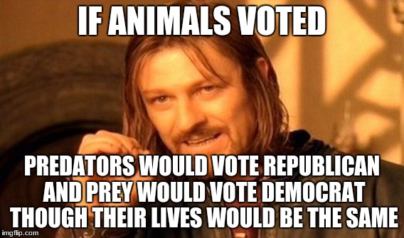 One Does Not Simply Meme | IF ANIMALS VOTED; PREDATORS WOULD VOTE REPUBLICAN AND PREY WOULD VOTE DEMOCRAT THOUGH THEIR LIVES WOULD BE THE SAME | image tagged in memes,one does not simply | made w/ Imgflip meme maker