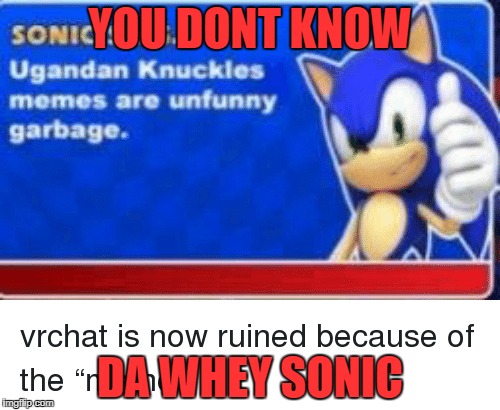 YOU DONT KNOW; DA WHEY SONIC | image tagged in ugandan knuckles | made w/ Imgflip meme maker