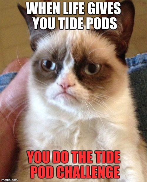 grumpy trying to kill you | WHEN LIFE GIVES YOU TIDE PODS; YOU DO THE TIDE POD CHALLENGE | image tagged in memes,grumpy cat,tide pod challenge | made w/ Imgflip meme maker