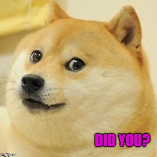 Doge Meme | DID YOU? | image tagged in memes,doge | made w/ Imgflip meme maker