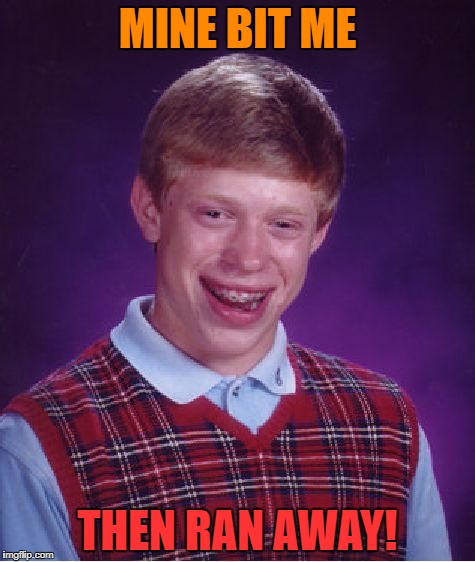 Bad Luck Brian Meme | MINE BIT ME THEN RAN AWAY! | image tagged in memes,bad luck brian | made w/ Imgflip meme maker