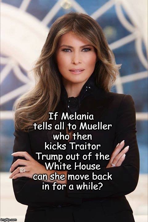Melania Trump | If Melania tells all to Mueller who then kicks Traitor Trump out of the White House can she move back in for a while? | image tagged in melania trump | made w/ Imgflip meme maker