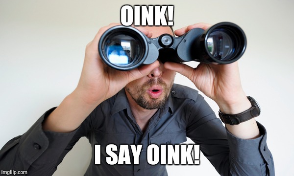 OINK! I SAY OINK! | made w/ Imgflip meme maker