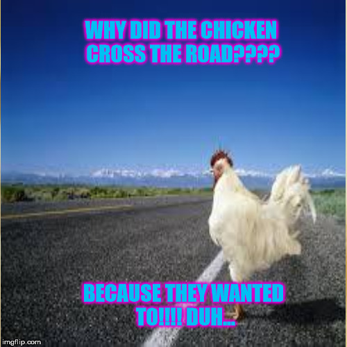 WHY DID THE CHICKEN CROSS THE ROAD???? BECAUSE THEY WANTED TO!!!! DUH... | made w/ Imgflip meme maker