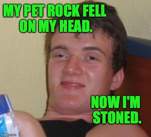 10 Guy Meme | MY PET ROCK FELL ON MY HEAD. NOW I'M STONED. | image tagged in memes,10 guy | made w/ Imgflip meme maker