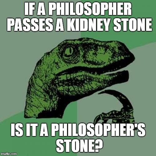 Philosoraptor | IF A PHILOSOPHER PASSES A KIDNEY STONE; IS IT A PHILOSOPHER'S STONE? | image tagged in memes,philosoraptor | made w/ Imgflip meme maker