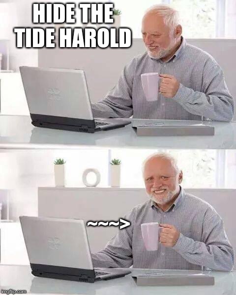 Hide it Harold | HIDE THE TIDE HAROLD; ~~~> | image tagged in memes,hide the pain harold,tide pods | made w/ Imgflip meme maker