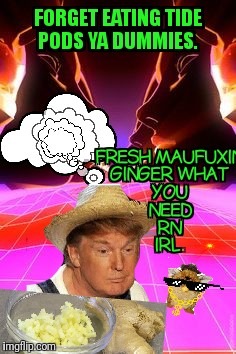 Furbs and the D man riding a space wave in search of the freshest ginger | image tagged in ginger,space | made w/ Imgflip meme maker