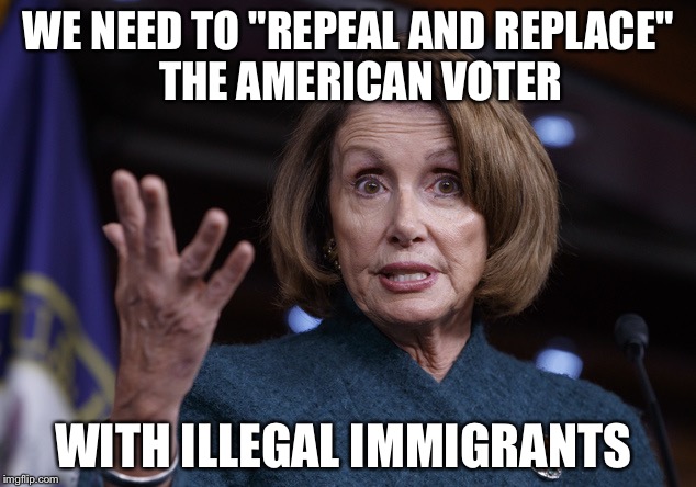 Good old Nancy Pelosi | WE NEED TO "REPEAL AND REPLACE"   THE AMERICAN VOTER; WITH ILLEGAL IMMIGRANTS | image tagged in good old nancy pelosi | made w/ Imgflip meme maker