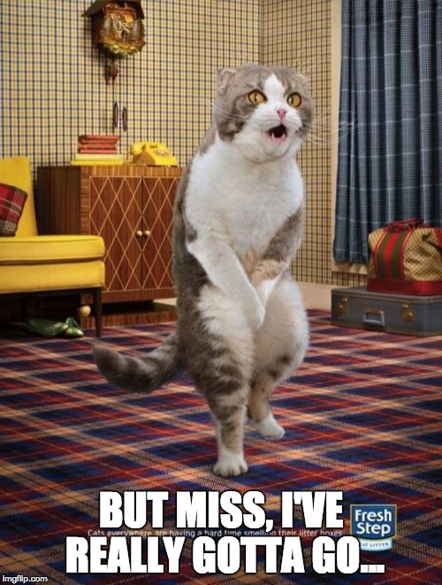 Gotta Go Cat | BUT MISS, I'VE REALLY GOTTA GO... | image tagged in memes,gotta go cat | made w/ Imgflip meme maker