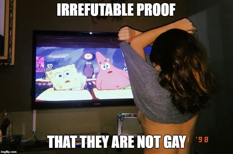 Finally, we can put the debate to rest | IRREFUTABLE PROOF; THAT THEY ARE NOT GAY | image tagged in memes,ill have you know spongebob,imagination spongebob,mocking spongebob,dont you squidward | made w/ Imgflip meme maker