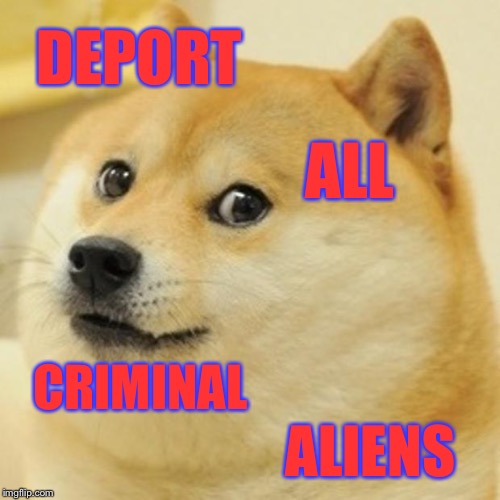 Doge on DACA | DEPORT; ALL; CRIMINAL; ALIENS | image tagged in memes,doge | made w/ Imgflip meme maker
