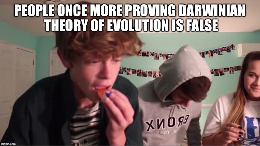 PEOPLE ONCE MORE PROVING DARWINIAN THEORY OF EVOLUTION IS FALSE | image tagged in tide pod challenge | made w/ Imgflip meme maker