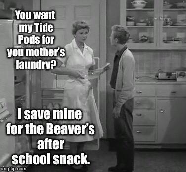 You want my Tide Pods for you mother’s laundry? I save mine for the Beaver’s after school snack. | made w/ Imgflip meme maker