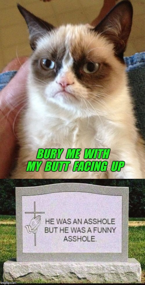 BURY  ME  WITH  MY  BUTT  FACING  UP | image tagged in grumpy cat | made w/ Imgflip meme maker