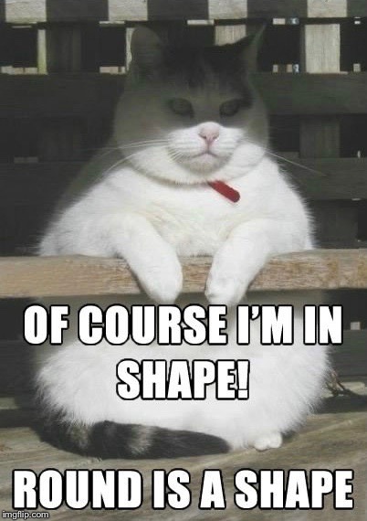 I look fat-abulous! | OF COURSE I’M IN SHAPE! ROUND IS A SHAPE | image tagged in memes,round is a shape | made w/ Imgflip meme maker