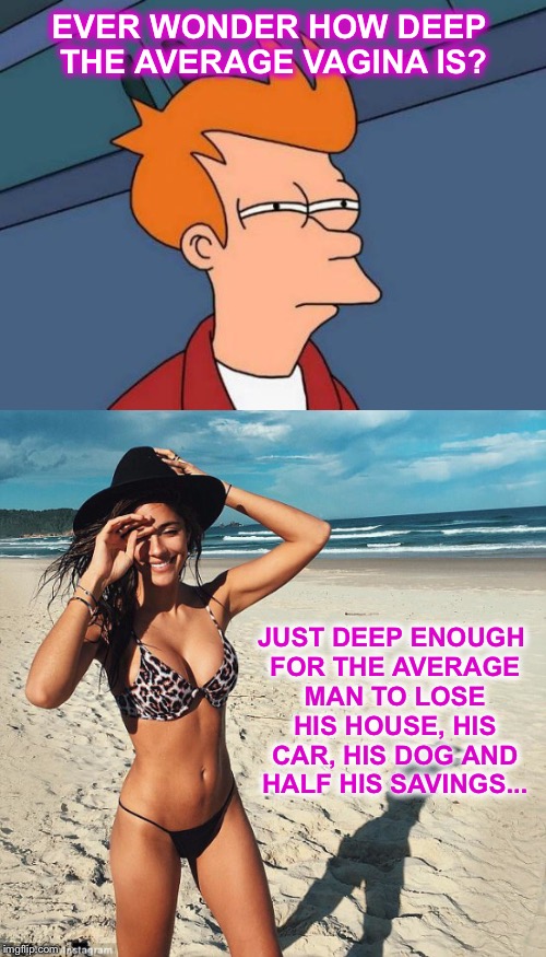 More Deep Thoughts... | EVER WONDER HOW DEEP THE AVERAGE VAGINA IS? JUST DEEP ENOUGH FOR THE AVERAGE MAN TO LOSE HIS HOUSE, HIS CAR, HIS DOG AND HALF HIS SAVINGS... | image tagged in divorce,vagina,funny,pussy,futurama fry | made w/ Imgflip meme maker