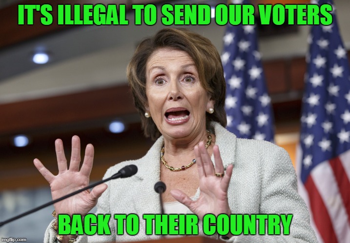 IT'S ILLEGAL TO SEND OUR VOTERS; BACK TO THEIR COUNTRY | image tagged in nancy pelosi wtf | made w/ Imgflip meme maker