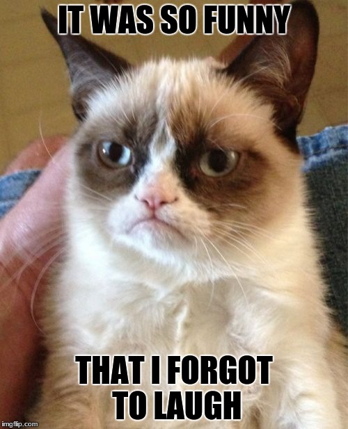 -_- | IT WAS SO FUNNY; THAT I FORGOT TO LAUGH | image tagged in memes,grumpy cat,laugh,funny | made w/ Imgflip meme maker