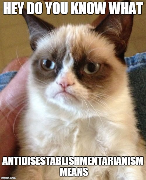 Grumpy Cat | HEY DO YOU KNOW WHAT; ANTIDISESTABLISHMENTARIANISM MEANS | image tagged in memes,grumpy cat | made w/ Imgflip meme maker