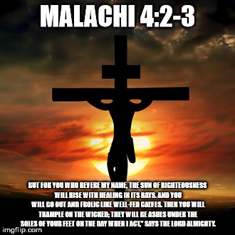 MALACHI 4:2-3; BUT FOR YOU WHO REVERE MY NAME, THE SUN OF RIGHTEOUSNESS WILL RISE WITH HEALING IN ITS RAYS. AND YOU WILL GO OUT AND FROLIC LIKE WELL-FED CALVES. THEN YOU WILL TRAMPLE ON THE WICKED; THEY WILL BE ASHES UNDER THE SOLES OF YOUR FEET ON THE DAY WHEN I ACT,” SAYS THE LORD ALMIGHTY. | made w/ Imgflip meme maker