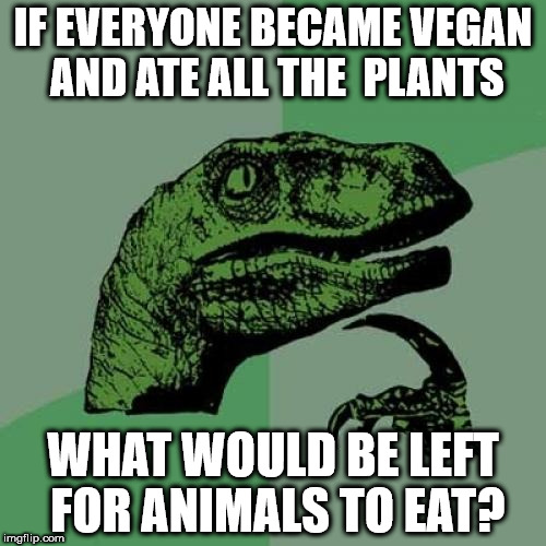 Philosoraptor | IF EVERYONE BECAME VEGAN AND ATE ALL THE  PLANTS; WHAT WOULD BE LEFT FOR ANIMALS TO EAT? | image tagged in memes,philosoraptor | made w/ Imgflip meme maker