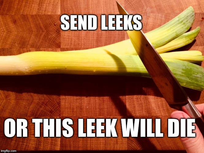 Send leeks | SEND LEEKS; OR THIS LEEK WILL DIE | image tagged in eyebrows on fleek | made w/ Imgflip meme maker