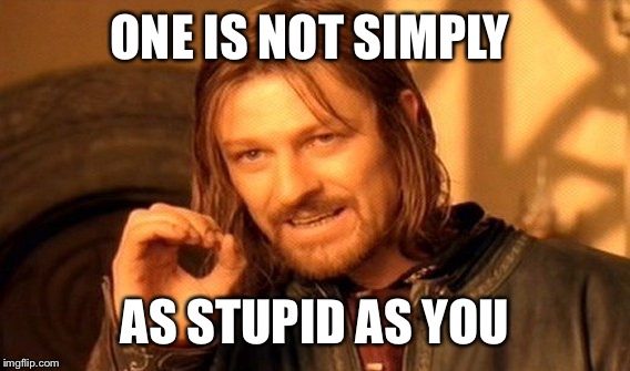 One Does Not Simply Meme | ONE IS NOT SIMPLY AS STUPID AS YOU | image tagged in memes,one does not simply | made w/ Imgflip meme maker
