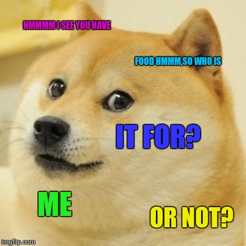 Doge Meme | HMMMM I SEE YOU HAVE; FOOD HMMM,SO WHO IS; IT FOR? ME; OR NOT? | image tagged in memes,doge | made w/ Imgflip meme maker