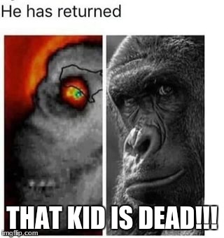 THAT KID IS DEAD!!! | image tagged in harambe,ghost week,let the hate flow through you | made w/ Imgflip meme maker