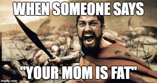 Sparta Leonidas | WHEN SOMEONE SAYS; "YOUR MOM IS FAT" | image tagged in memes,sparta leonidas | made w/ Imgflip meme maker