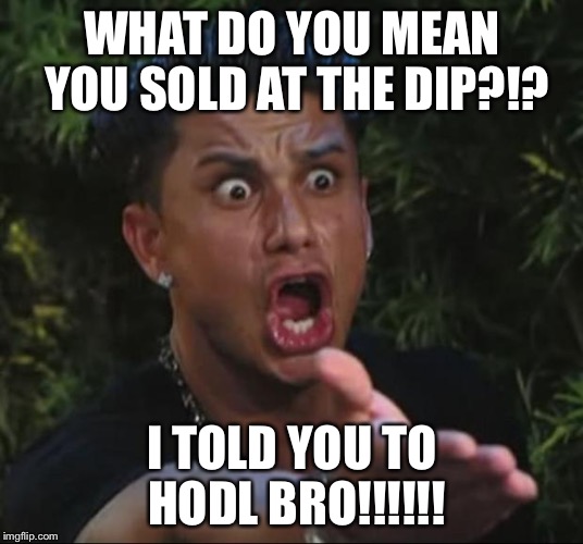 DJ Pauly D Meme | WHAT DO YOU MEAN YOU SOLD AT THE DIP?!? I TOLD YOU TO HODL BRO!!!!!! | image tagged in memes,dj pauly d | made w/ Imgflip meme maker