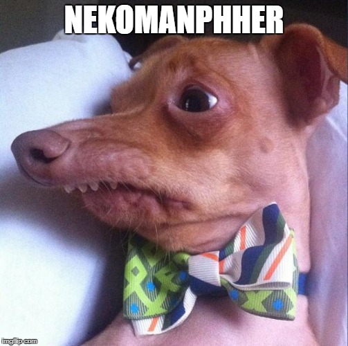 Tuna the dog (Phteven) | NEKOMANPHHER | image tagged in tuna the dog phteven | made w/ Imgflip meme maker