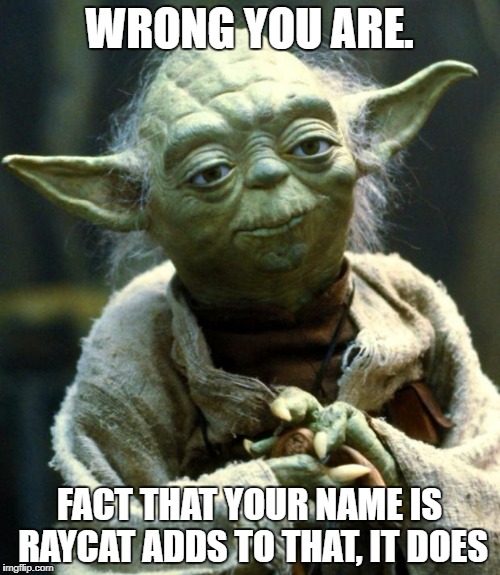 Star Wars Yoda Meme | WRONG YOU ARE. FACT THAT YOUR NAME IS RAYCAT ADDS TO THAT, IT DOES | image tagged in memes,star wars yoda | made w/ Imgflip meme maker