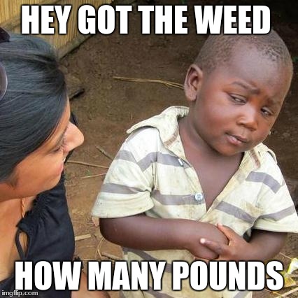 Third World Skeptical Kid Meme | HEY GOT THE WEED; HOW MANY POUNDS | image tagged in memes,third world skeptical kid | made w/ Imgflip meme maker