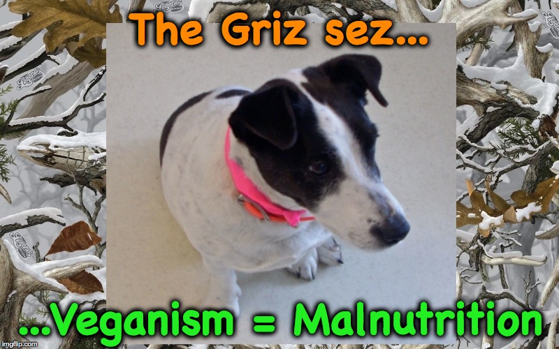 The Griz sez... ...Veganism = Malnutrition | made w/ Imgflip meme maker