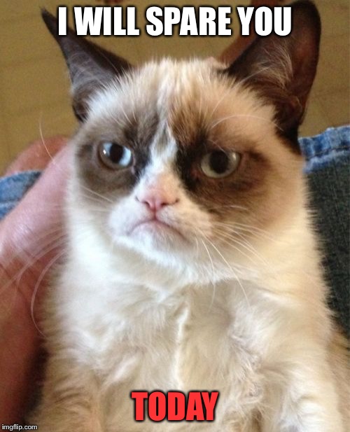 Grumpy Cat Meme | I WILL SPARE YOU TODAY | image tagged in memes,grumpy cat | made w/ Imgflip meme maker